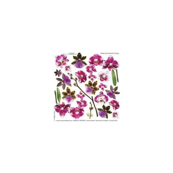 Third Series - Orchid Fuchsia