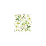 Third Series - Helleborus Branch