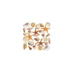 Fourth Series - SHELLS