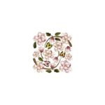 Fourth Series - MAGNOLIA BOTANY