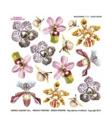 Holographic Printed Films - Color Orchid
