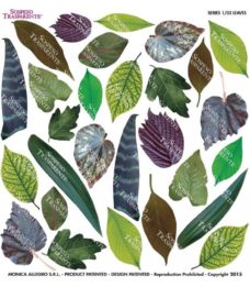 Printed Flim Leaves