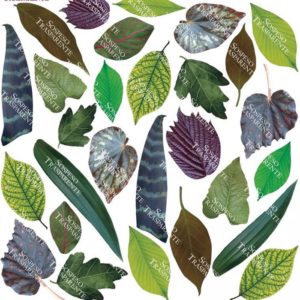 Printed Flim Leaves