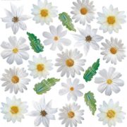 Printed Flim White Daisy