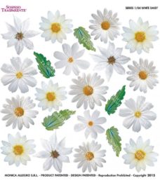 Printed Flim White Daisy