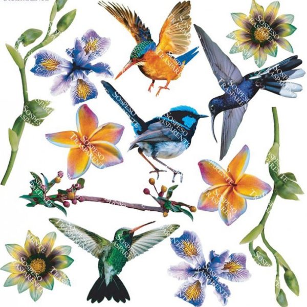 Printed Flim Bird and Flowers