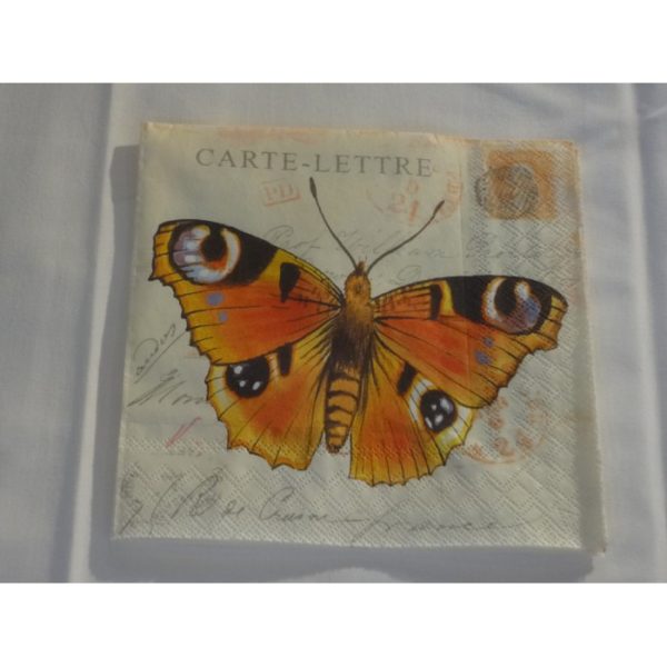 Butter Fly Cards