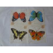 Butter Fly Cards