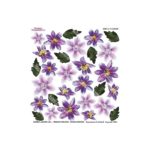 CLEMATIS