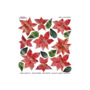 RED POINSETTIA