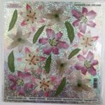 Holographic Printed Film Pink Lilium